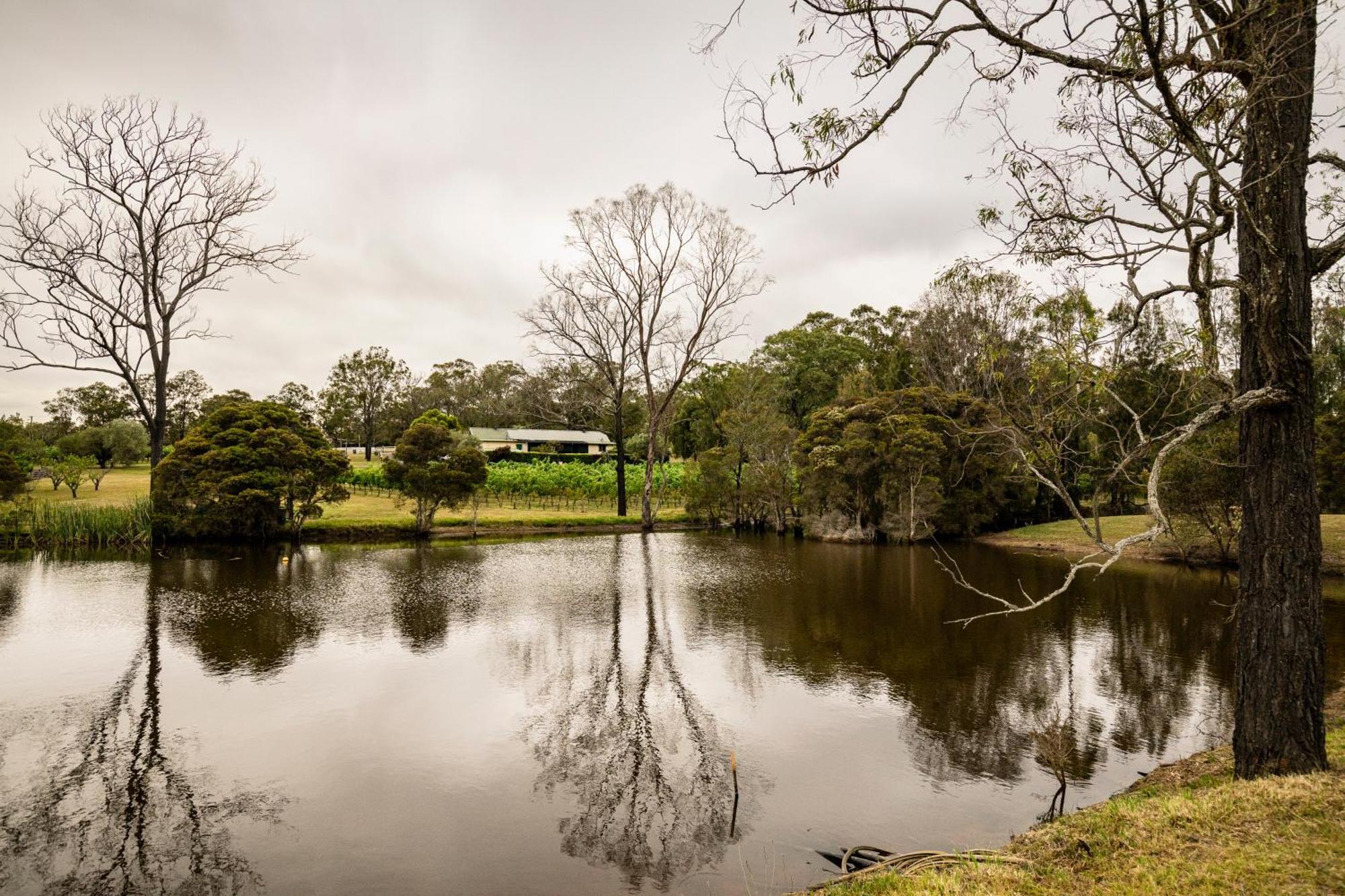 Mccaffrey'S Estate Hotel Pokolbin Exterior photo